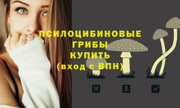 меф Абинск