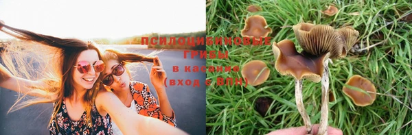меф Абинск