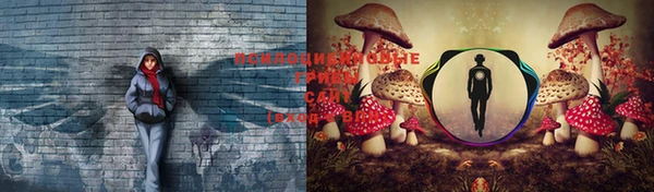 меф Абинск