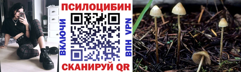 Галлюциногенные грибы ЛСД Ковров