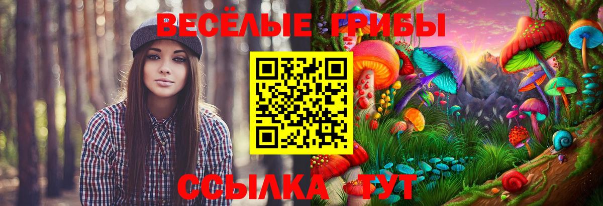 Псилоцибиновые грибы ЛСД  Вход с VPN  Ковров 