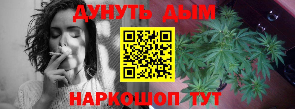 Каннабис конопля Ковров